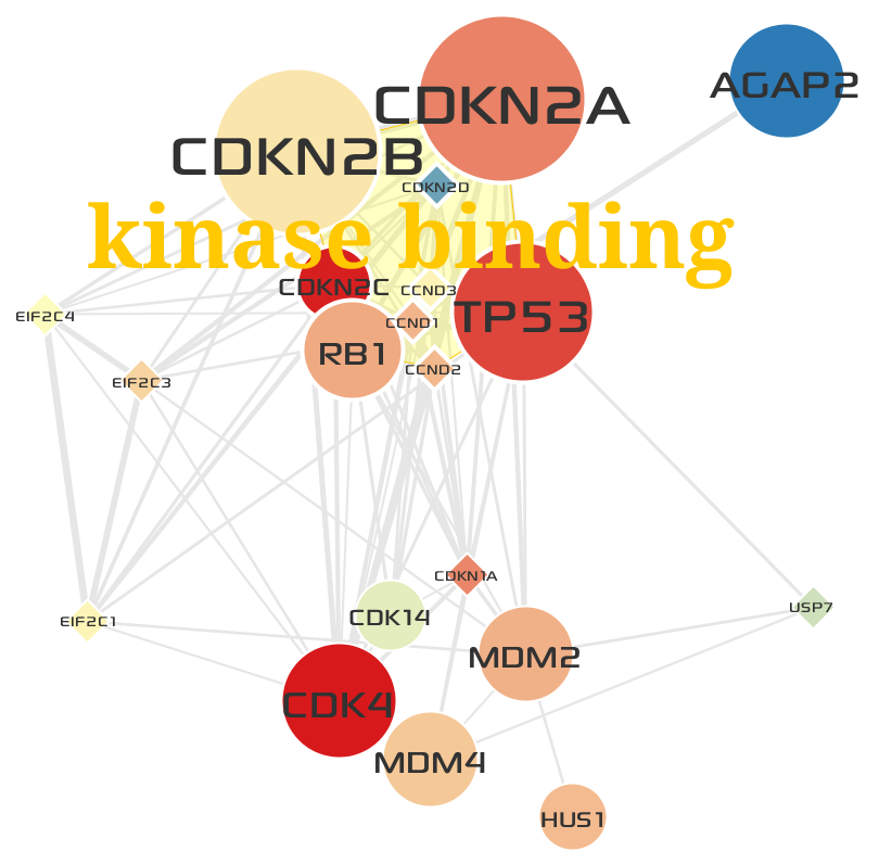 ../_images/GO_kinase_binding.png
