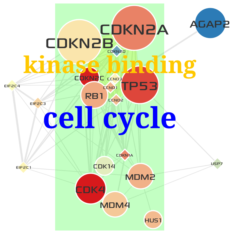 ../_images/GO_cell_cycle.png